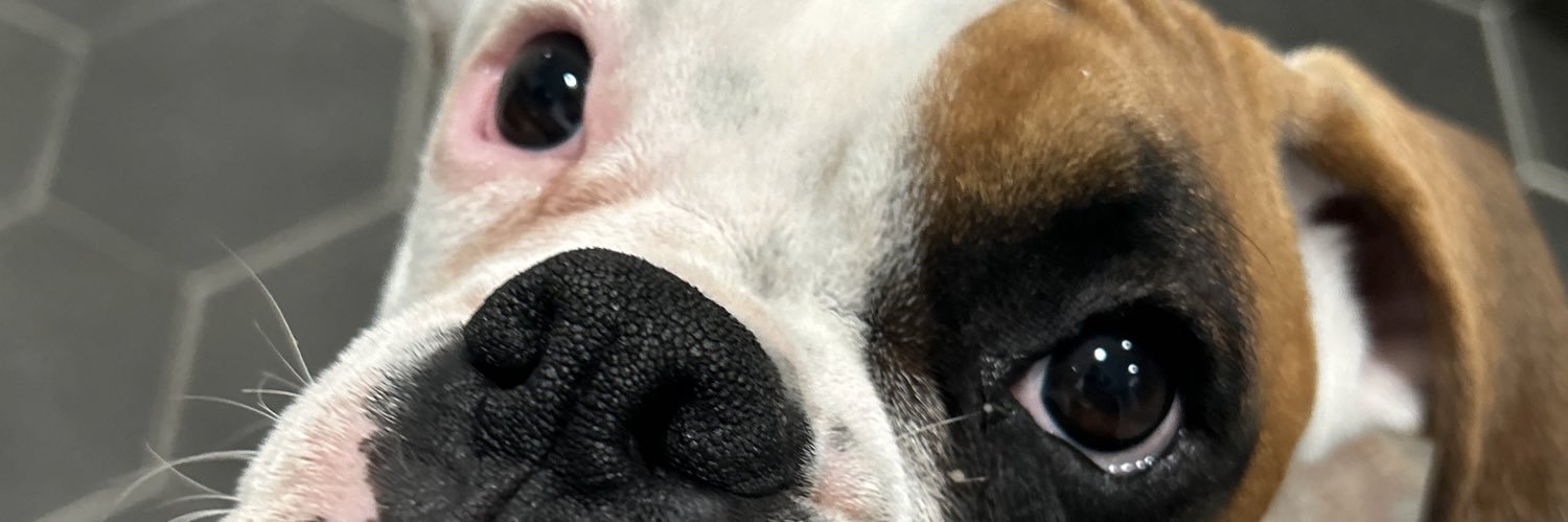 Gaamez_'s profile banner image