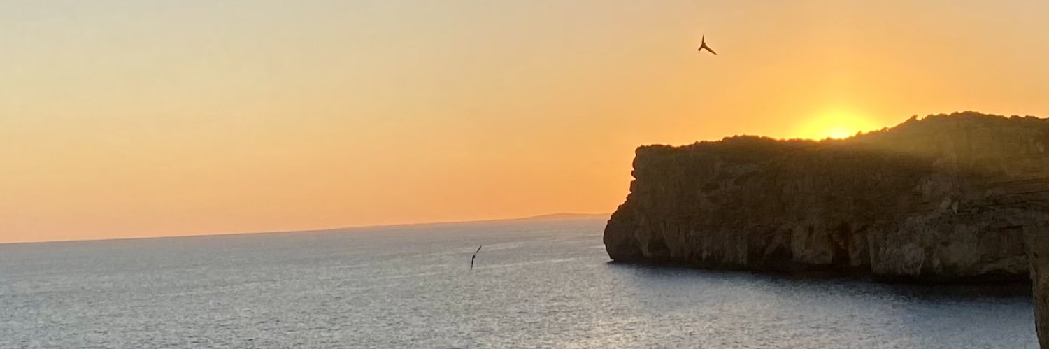 lidiuu_6's profile banner image