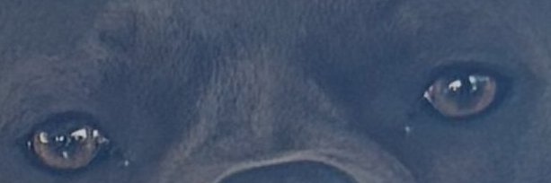 LonClark4's profile banner image