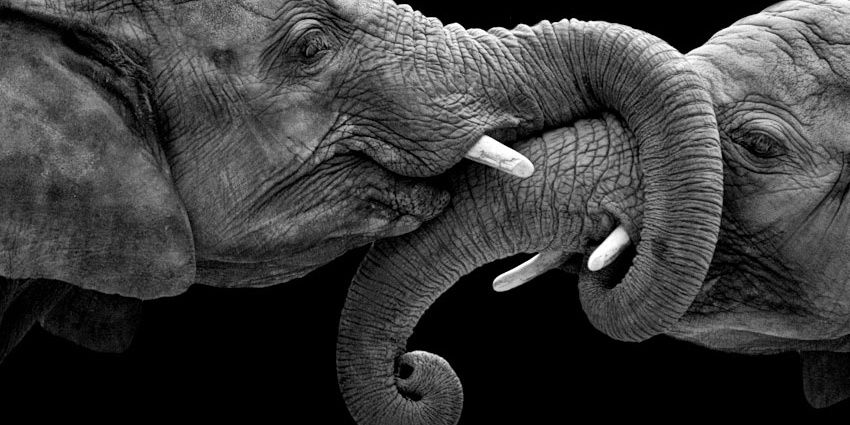 _WhoDidYATRACKS's profile banner image
