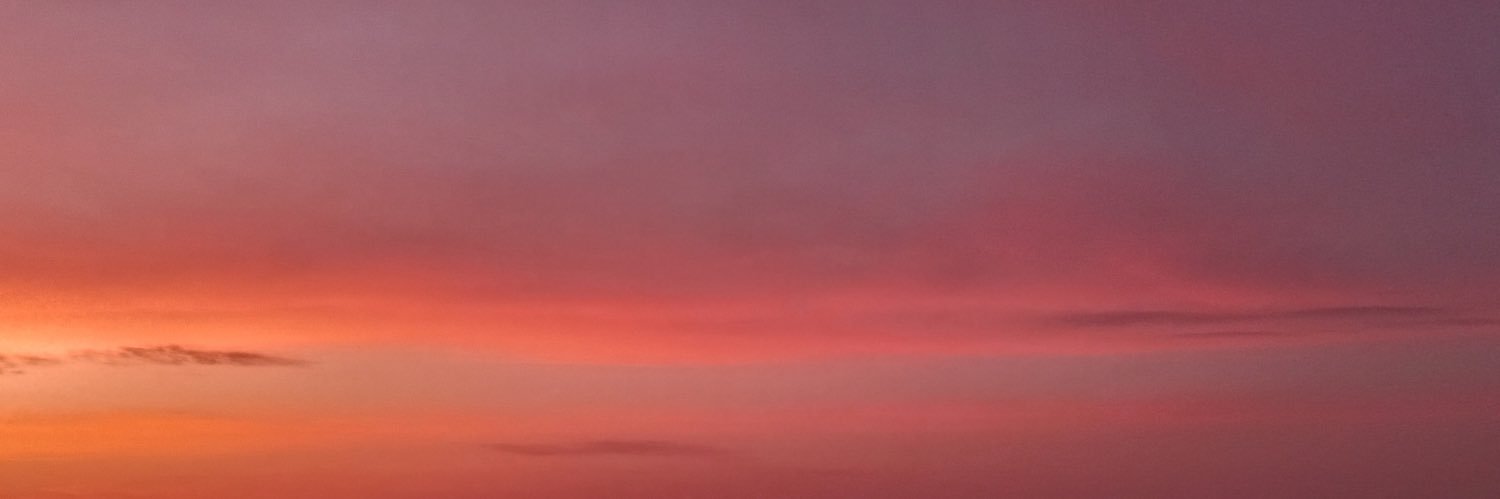 NyniiRob's profile banner image