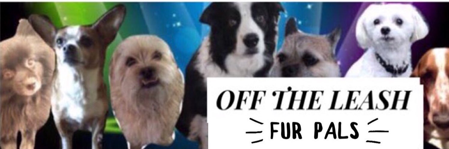 OffTheLeashFP 💔RIP Beautiful Millie&Sweet Pixie🌈's banner