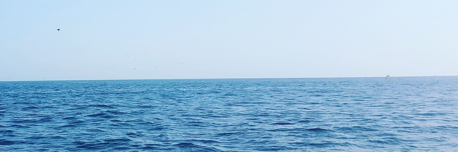 specialmind__'s profile banner image