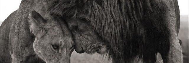 dalejohnson92's profile banner image