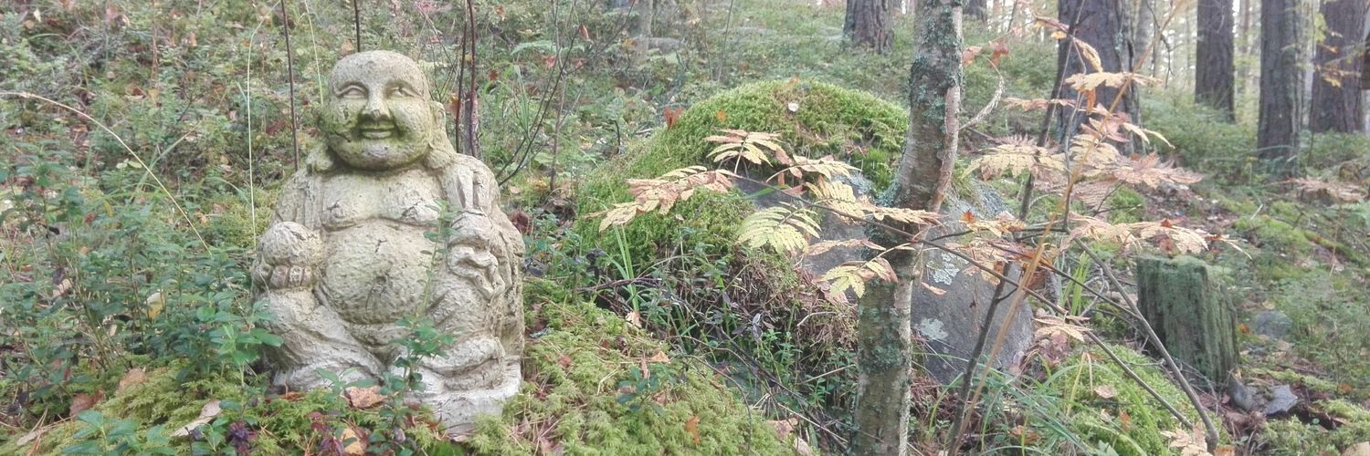 comamais 🇺🇦 🇮🇱 banner