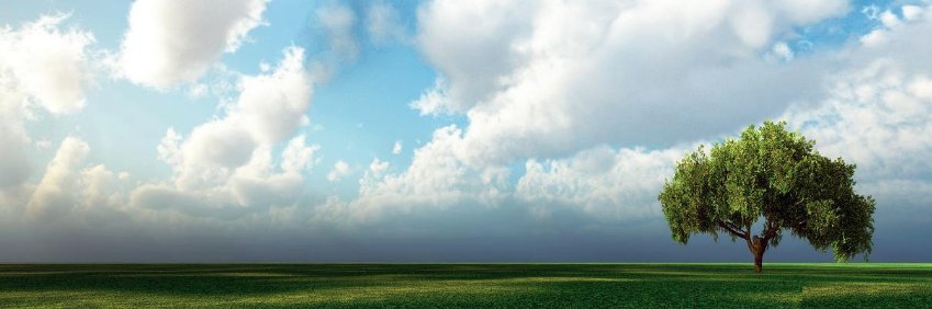 American Muslim Community Foundation banner
