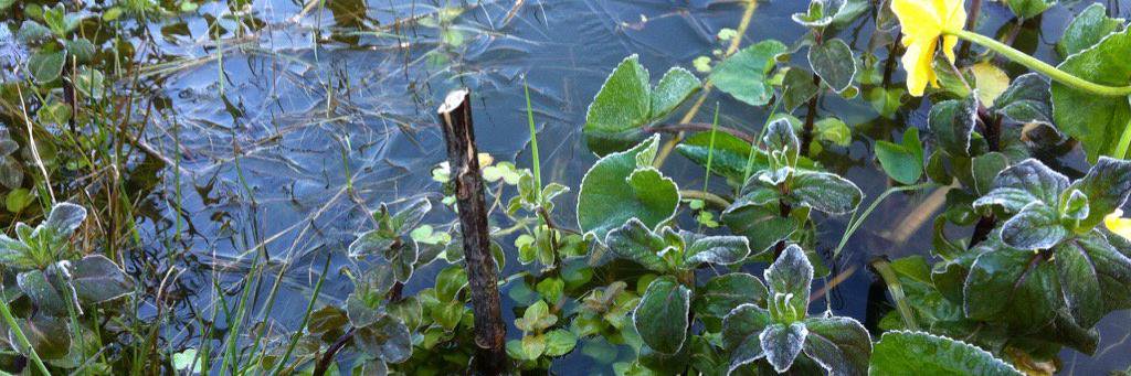 Richard Phillips banner