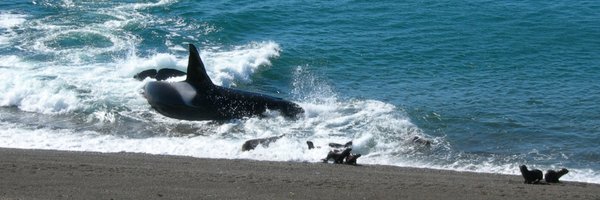 bryaninvicta Profile Banner