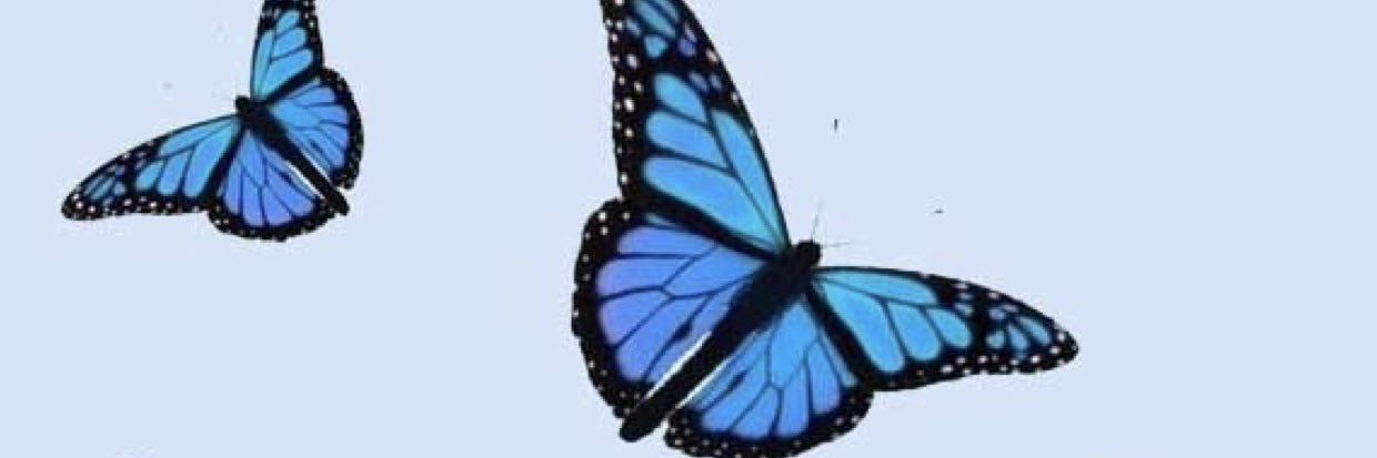 taylor_0202's profile banner image