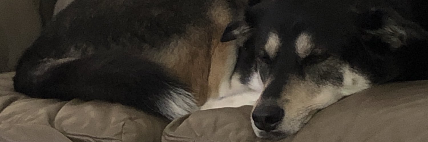 davidburchers's profile banner image