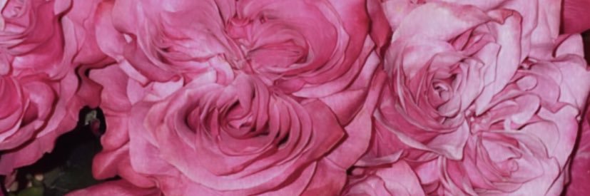 simplyashaaa's profile banner image