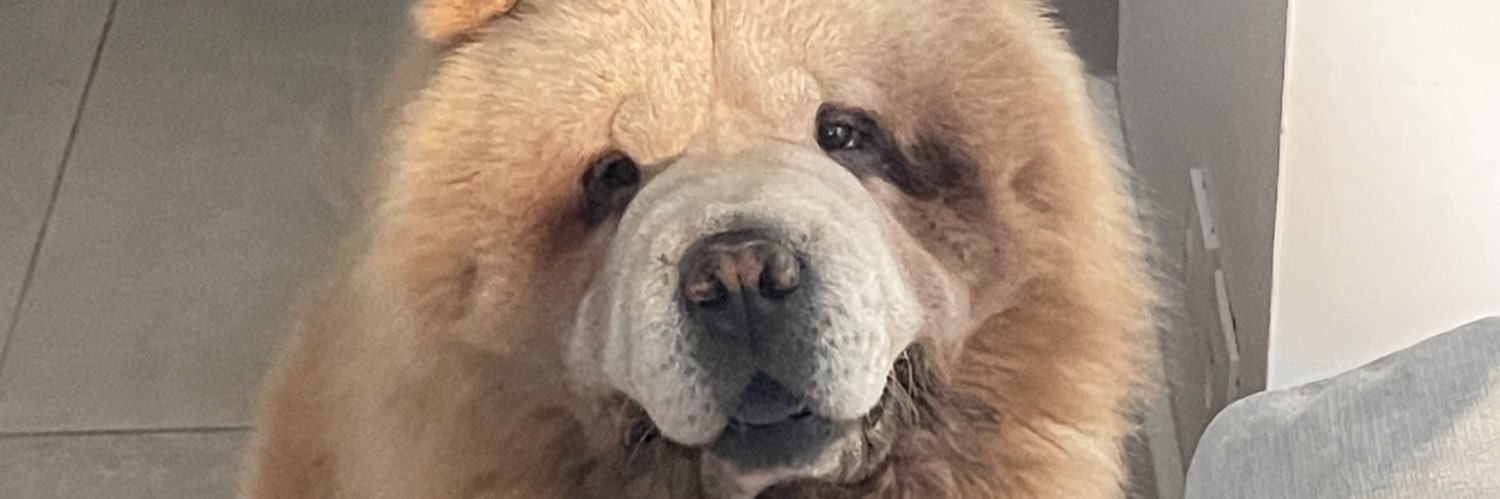 ThomasR99's profile banner image