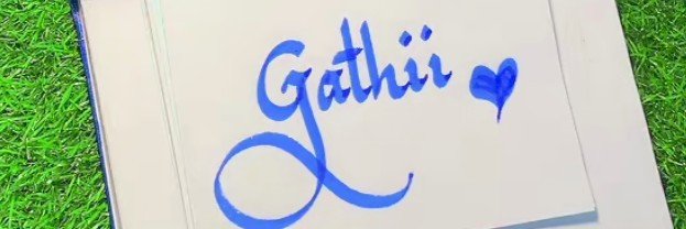 Daviegathii's profile banner image