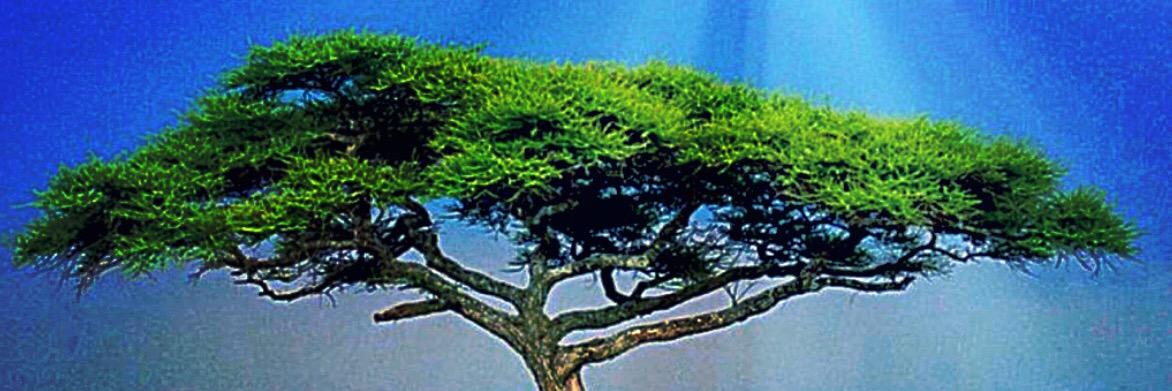 MindsetDoc's profile banner image