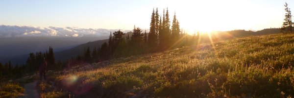 kelseysingbeil Profile Banner