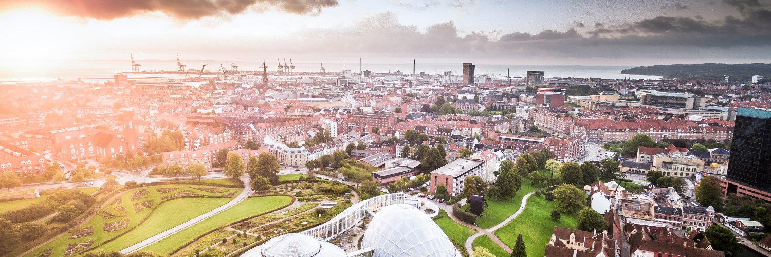 Mikkel Alsø banner
