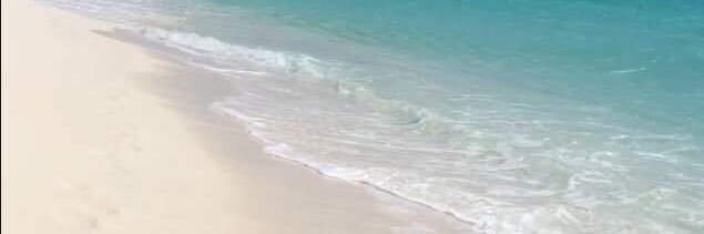 miguelconga's profile banner image