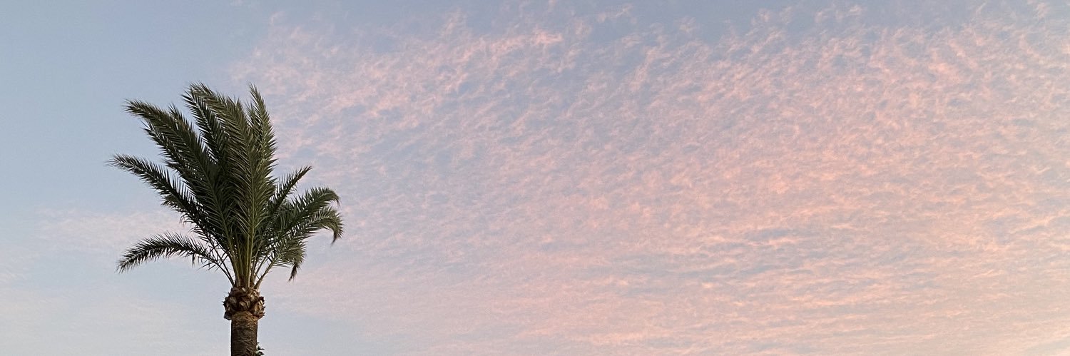 sandrx_tr's profile banner image