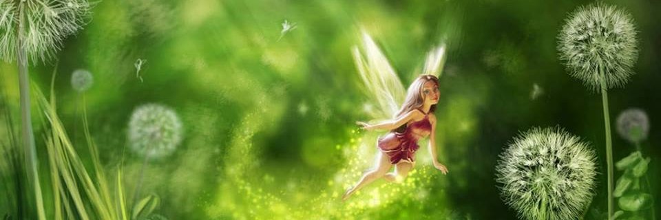 Dandelionsoap's profile banner image