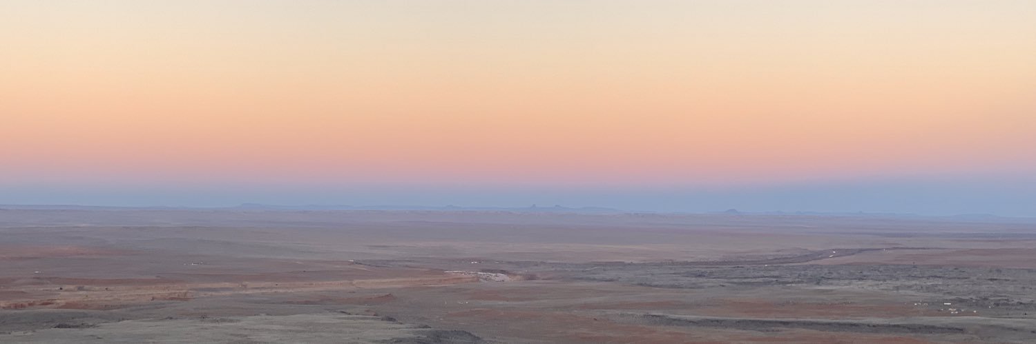 Dr. Allison Barsnica Hall banner