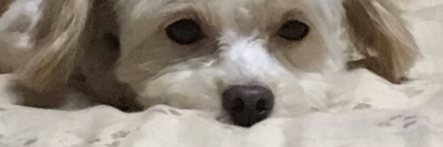 HFud93's profile banner image