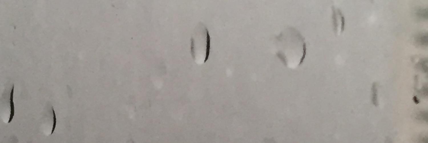 M Lasso de la Vega F banner