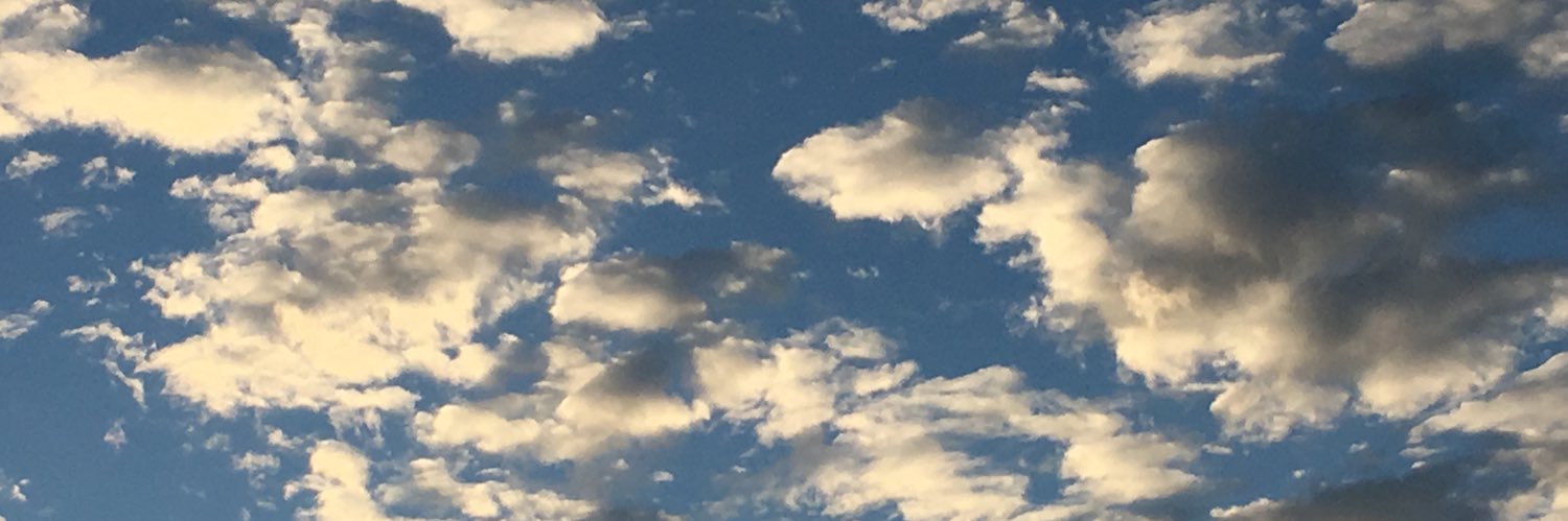 Ben Ehrenreich (find me on Bluesky)'s banner