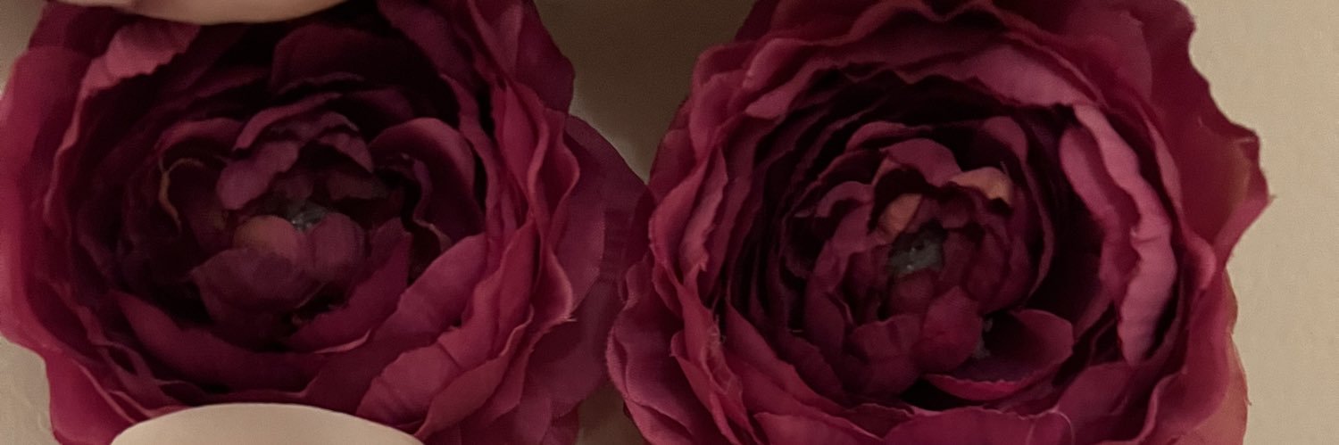 as__ma's profile banner image