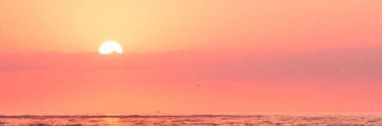 aljarbi's profile banner image