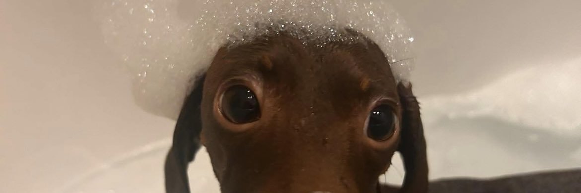 Emma ⭐️⭐️ banner