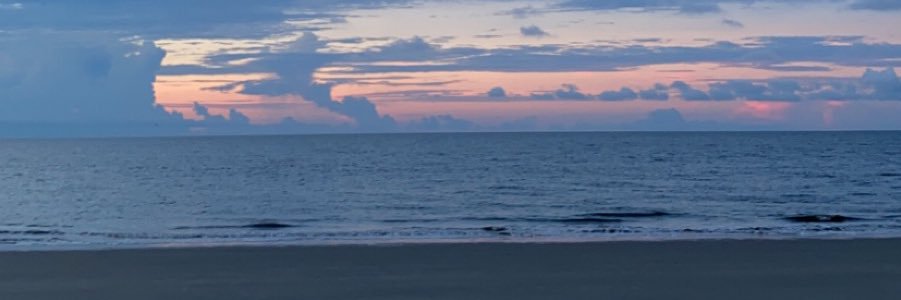 laurrenwright's profile banner image