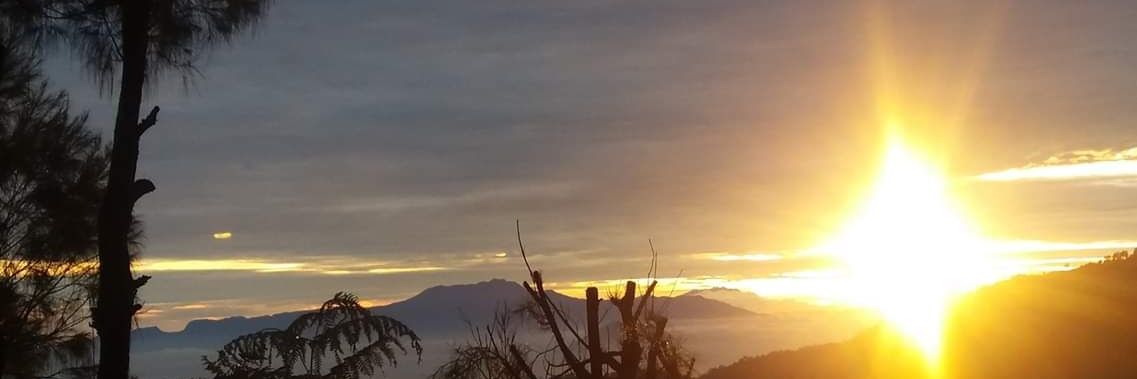 🙋‍♀️ banner