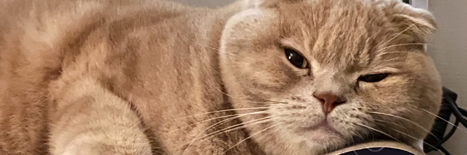 まる🐈 banner