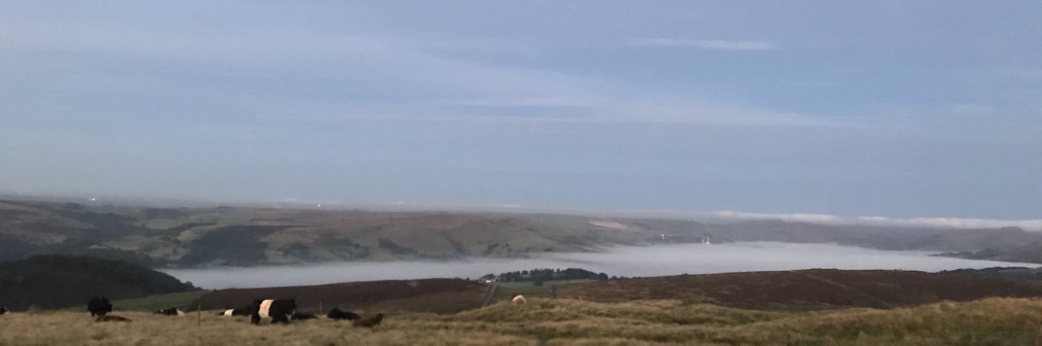 Dan Bose (@danbose.bsky.social) banner