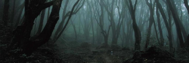 martarc11's profile banner image