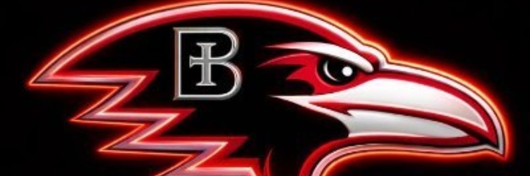 Mark Bayliff banner