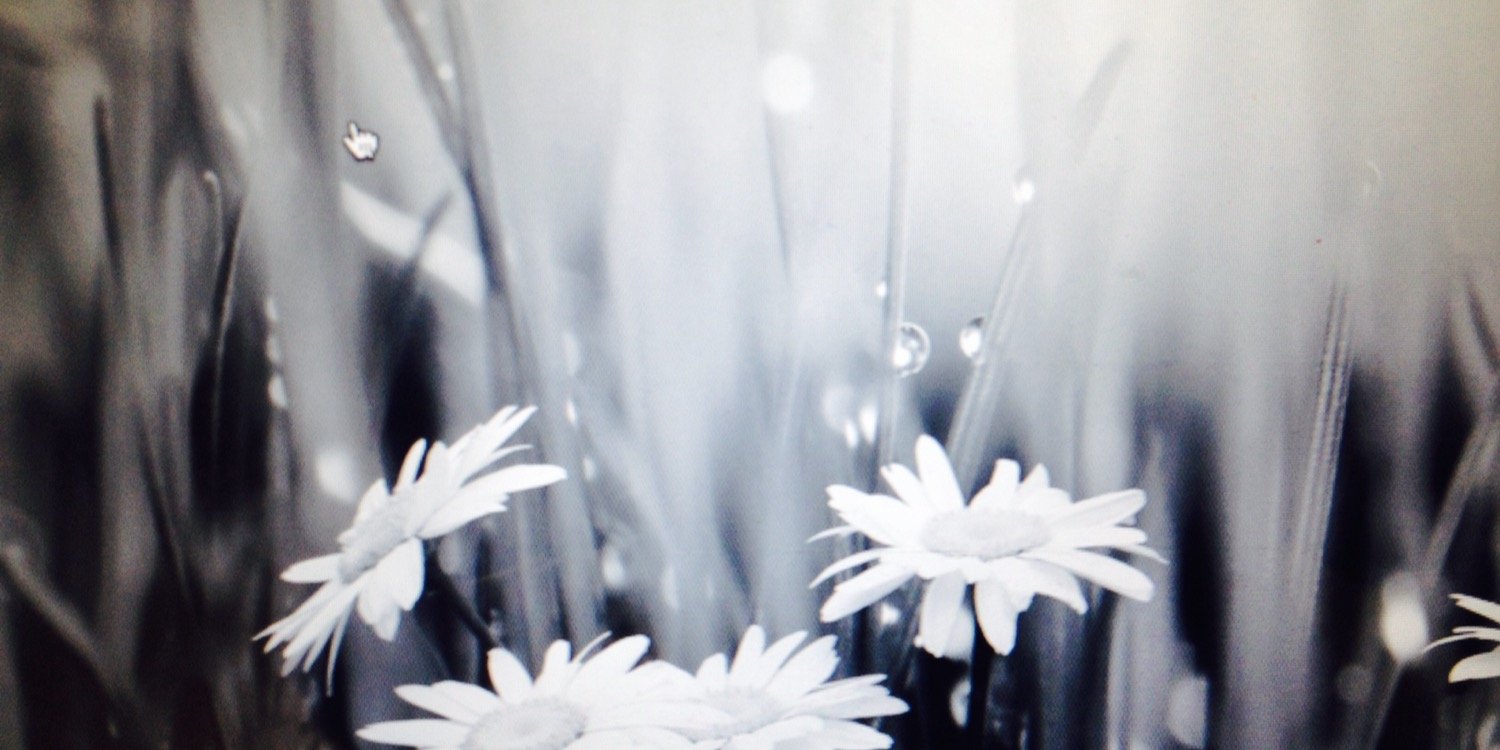 KatMiddleton's profile banner image