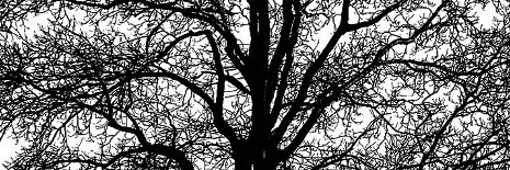 drewl's profile banner image