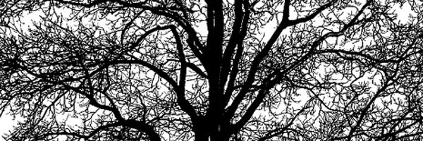 drewl Profile Banner