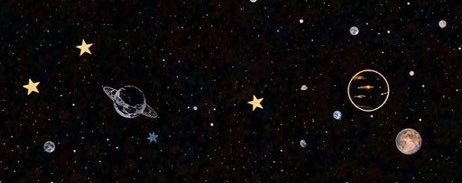 TrueElonFans's profile banner image