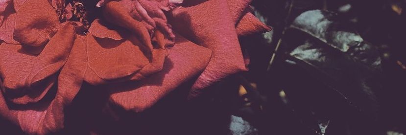 tk_h_s's profile banner image