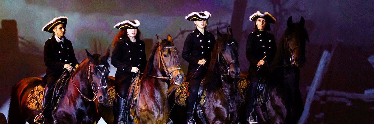 CavalandParc2's profile banner image