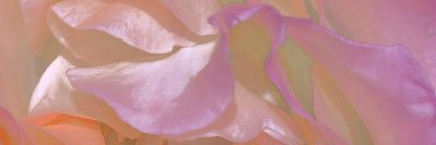 ame_lari's profile banner image