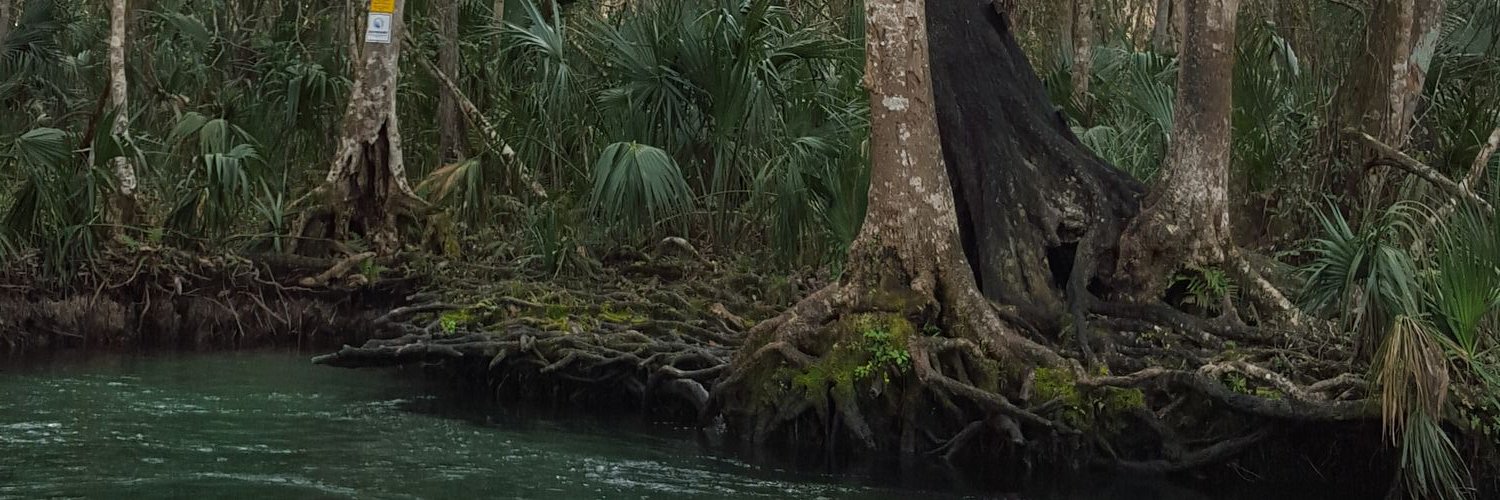 ttsather's profile banner image