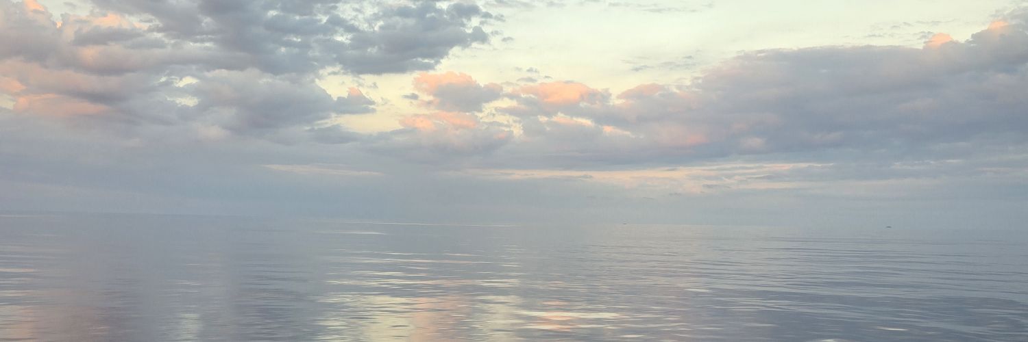 how_tointrovert's profile banner image