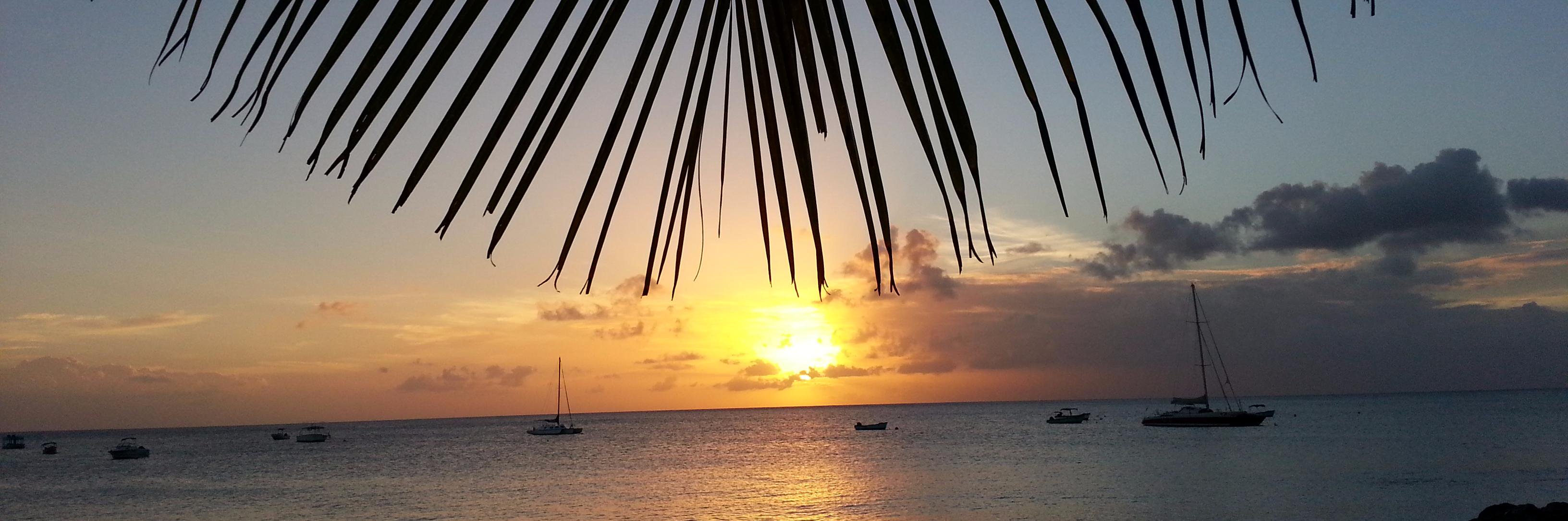 Alice Rosewell banner