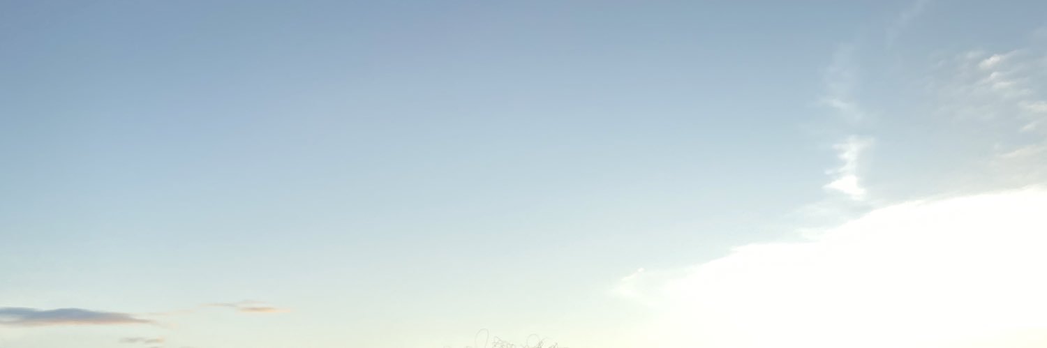 it’s spelled with a “w” banner