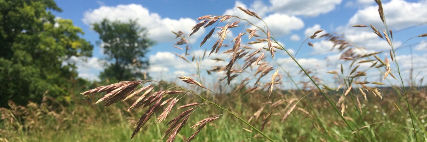 Lauren Langworthy banner
