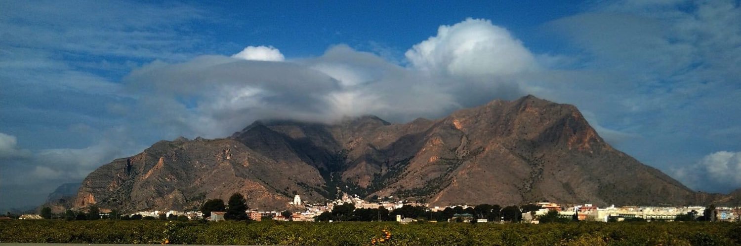 Roque Amorós banner