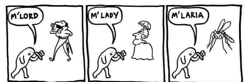 Staci Dreyer-Larson Ph.D. 🐀 banner